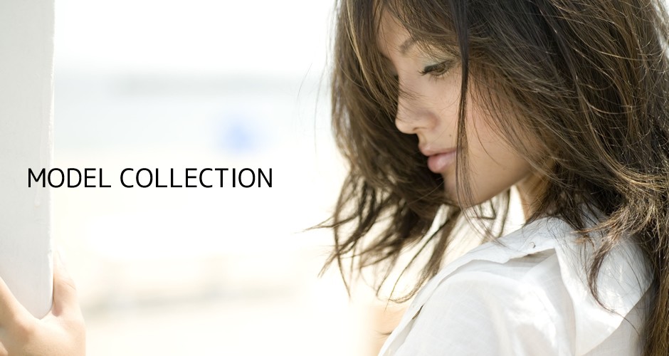 modelcollection